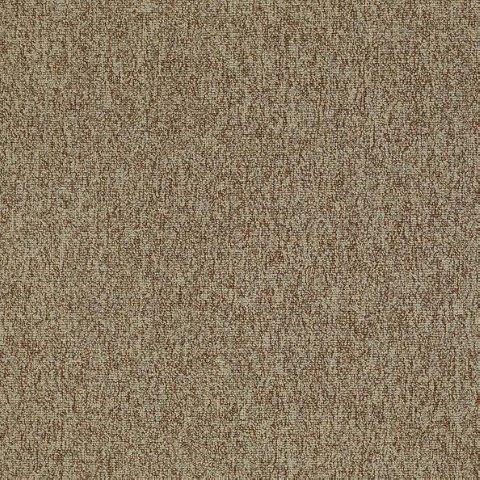 Shaw Philadelphia Carpet Tile Multiplicity 54593